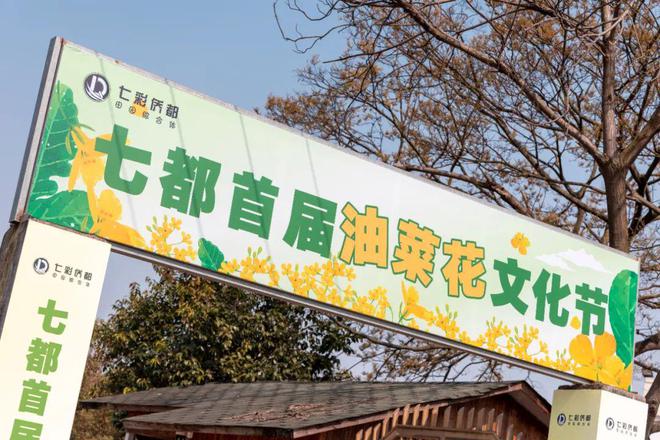 千亩金黄一岛风情市集手作美食美景这里统统都有(图8)