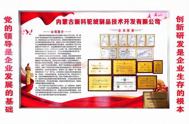 内蒙古新科驼绒科技赋能打造驼、羊绒高端家纺助力产业振兴(图5)
