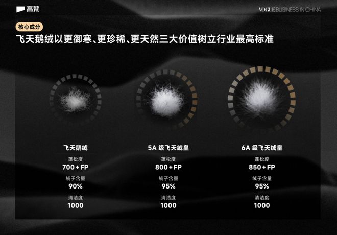 高梵：逆势崛起的大牌之路是怎么走通的？(图5)