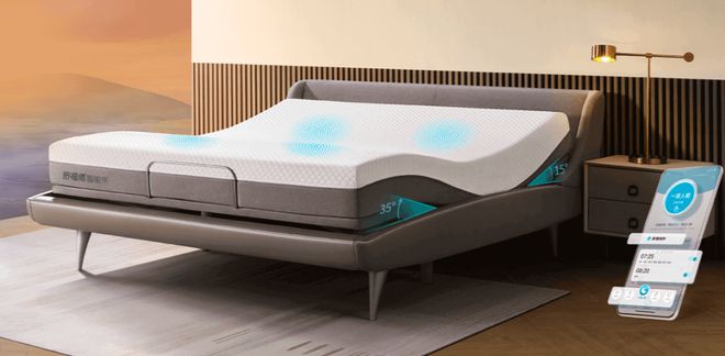 AI时代慕思、喜临门、趣睡、纾兰……谁能领跑睡眠经济？(图6)