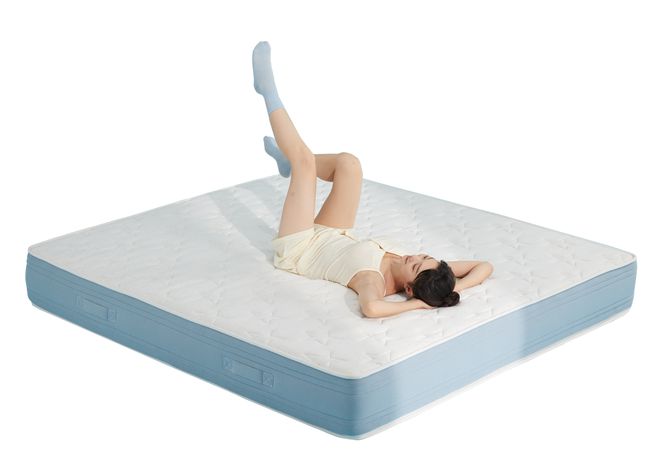 AI时代慕思、喜临门、趣睡、纾兰……谁能领跑睡眠经济？(图12)