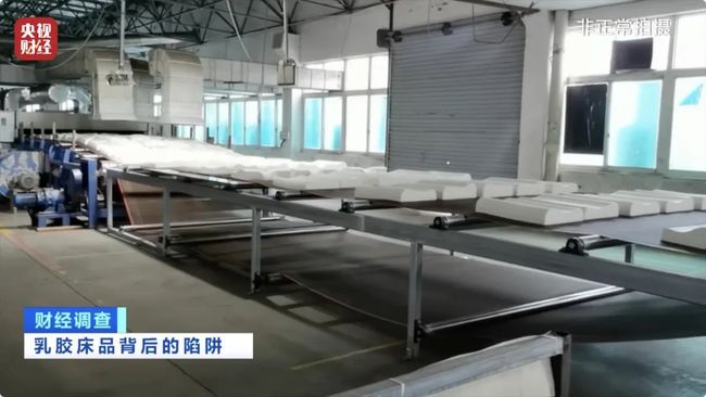 成本20售价1000多！央视曝光乳胶床垫造假黑幕(图10)