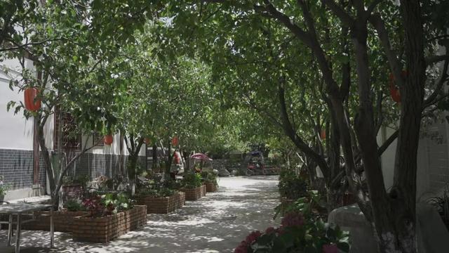 这个夏天来青川住民宿、享悠闲(图21)