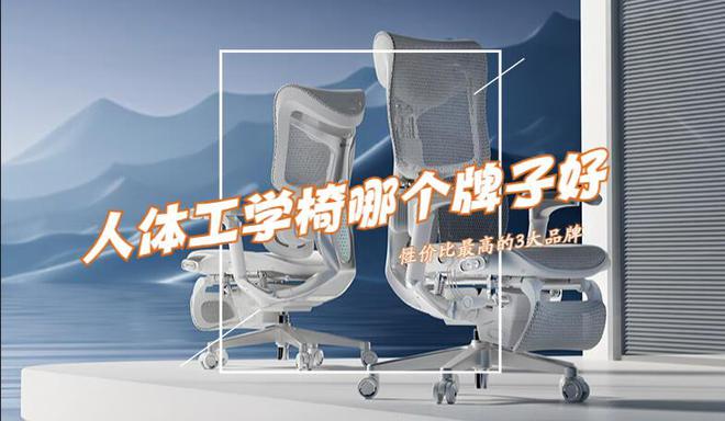 人体工学椅哪个牌子比较好？2024最建议买这3个：性价比口碑公认(图3)