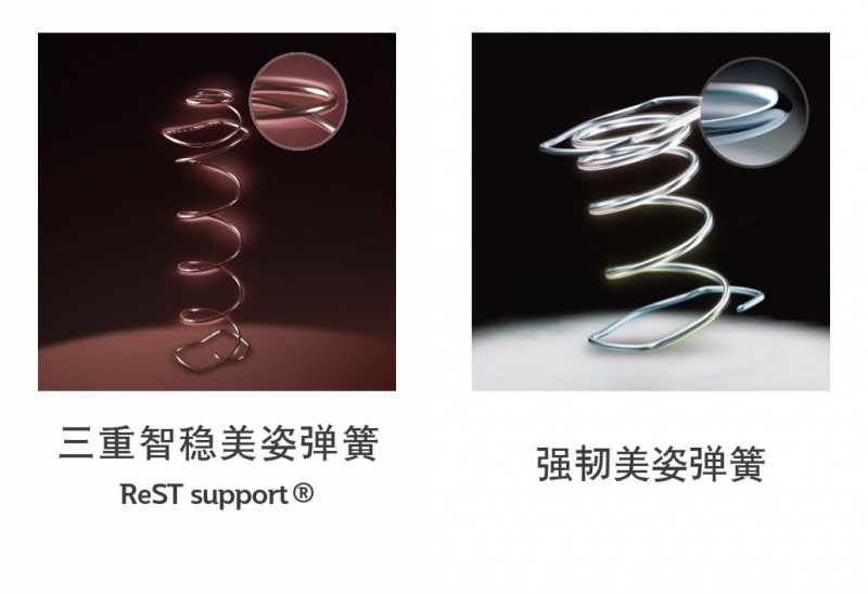 卓越技术成就卓越品质丝涟2024高端进口新品床垫全面上市(图2)
