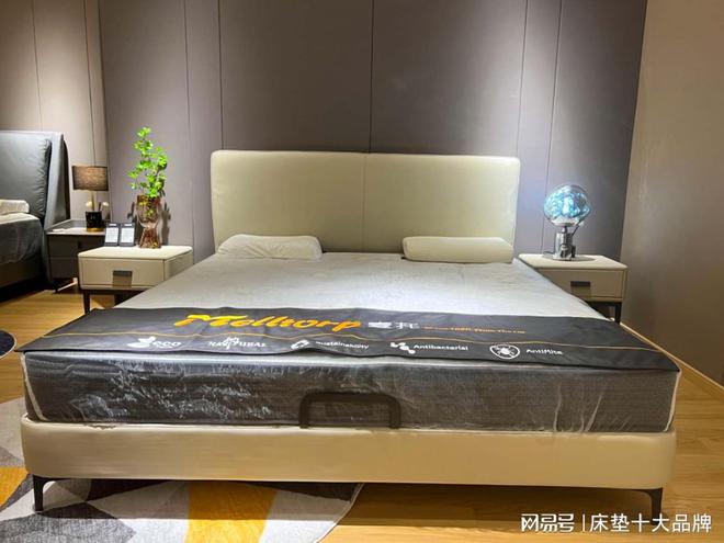 床垫十大品牌：选择床垫不迷路(图1)