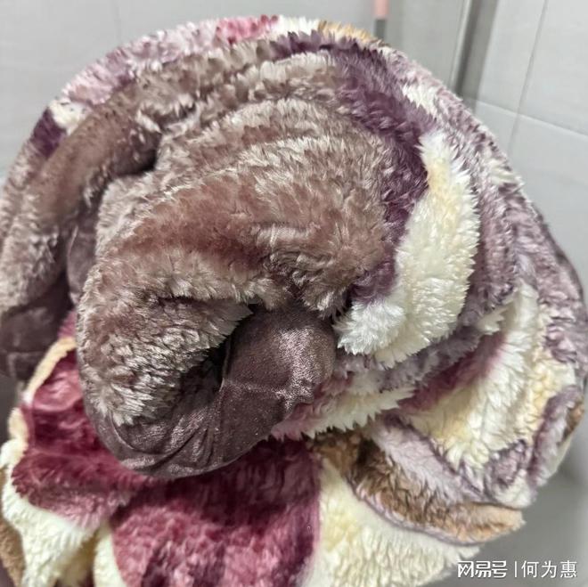 家家都有的“拉舍尔毛毯”为何惨遭嫌弃？看完这些缺点你还买吗(图5)