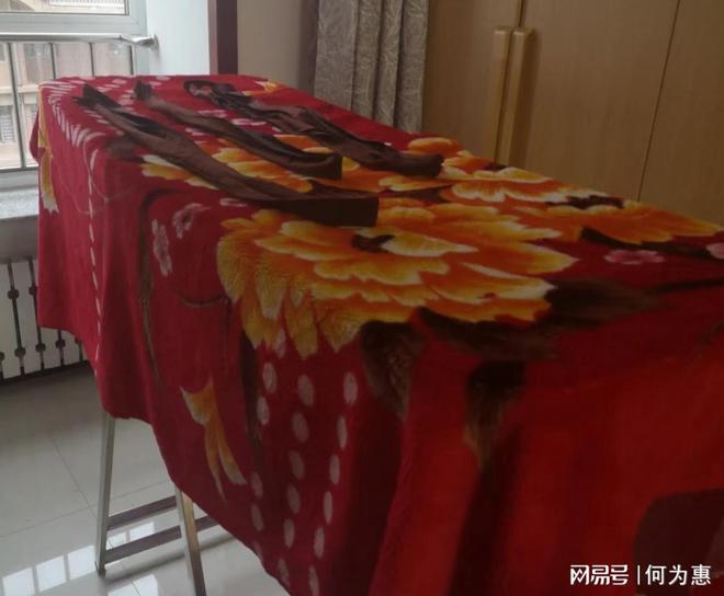 家家都有的“拉舍尔毛毯”为何惨遭嫌弃？看完这些缺点你还买吗(图11)