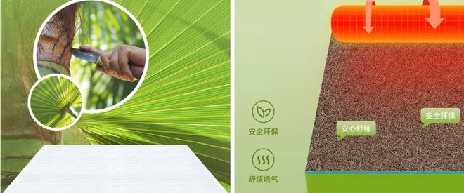 大自然床垫建议收藏内行人教你怎么选床垫！(图11)