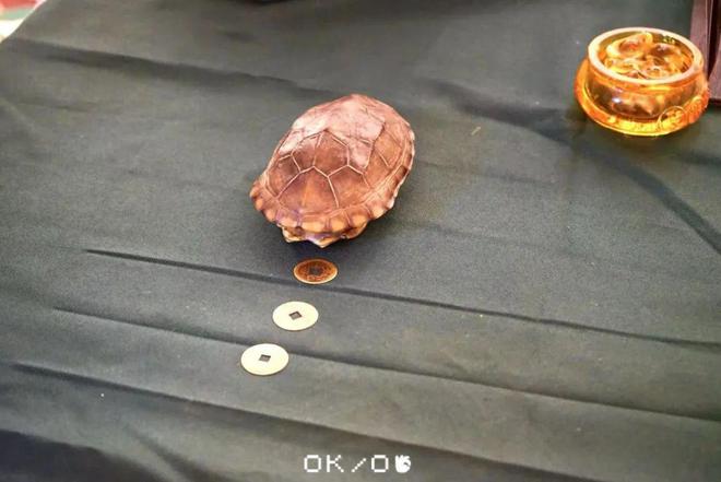 在钱新CBD我逛到了超治愈的冬日市集。(图11)