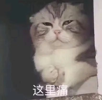 2024年亚马逊这些费用上涨了卖家们发现了吗？(图1)