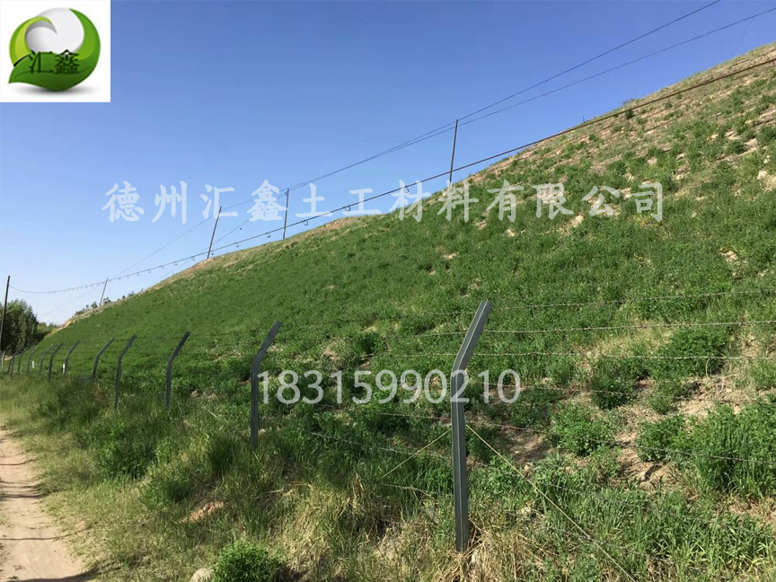 德州汇鑫土工材料有限公司(图1)