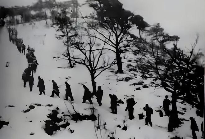 1950年志愿军缴获3000条毛毯政委王直命令剪碎所有战士都有份(图1)