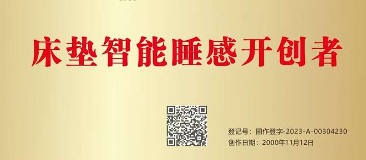 HSXCD是红双喜床垫的替代缩写中国家具行业十大品牌HSXCD(图2)
