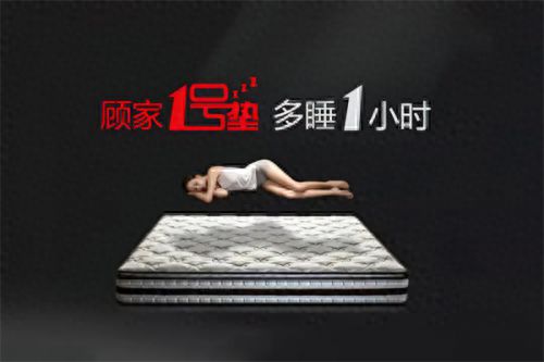 顾家1号垫十周年从“安睡”到“深睡”的进化之路(图1)