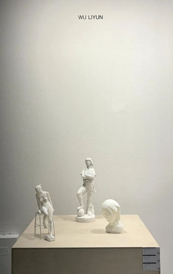 第14届首尔国际雕塑节“中国青年雕塑特别展”开幕(图5)