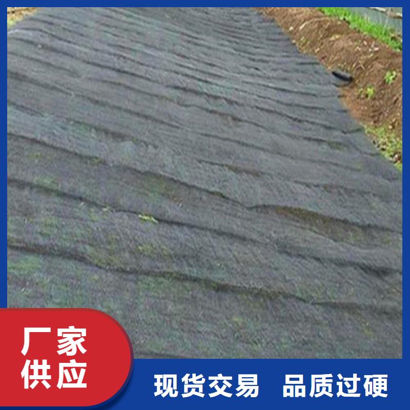 【水土保护毯】土工格栅支持定制贴心售后(图2)