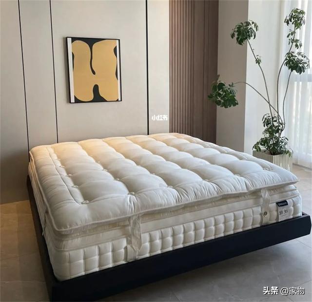 弹簧床垫和棕榈床垫选谁好？懂行人都这样选(图11)