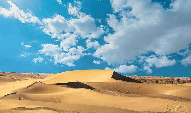 立夏北纬40°沙漠的新生力量每一滴都是绿色奇迹(图1)
