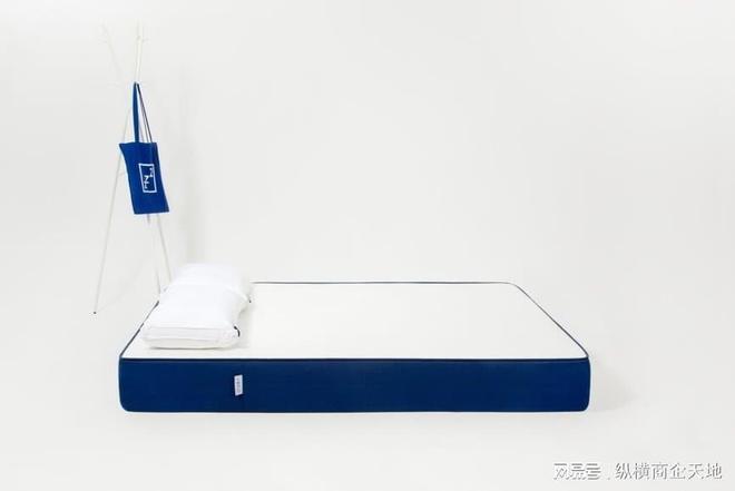 2025年最新床垫排行榜权威发布！深度评测十款热门床垫推荐品牌(图4)