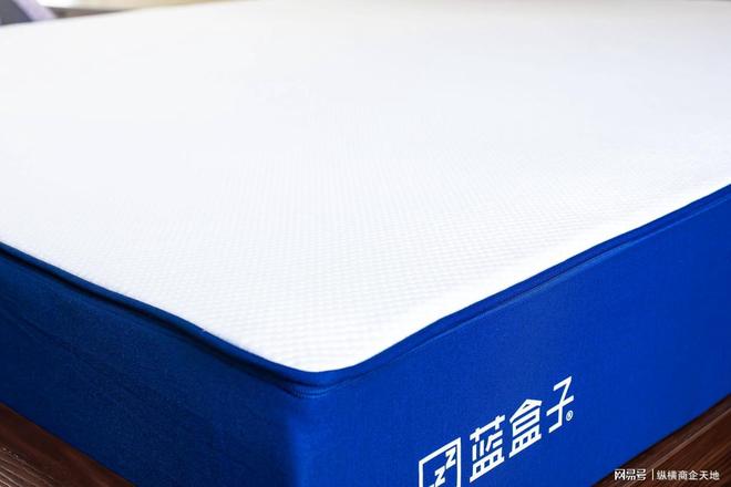 2025年十大床垫品牌排行榜：最值得购买的床垫推荐榜单前十(图1)